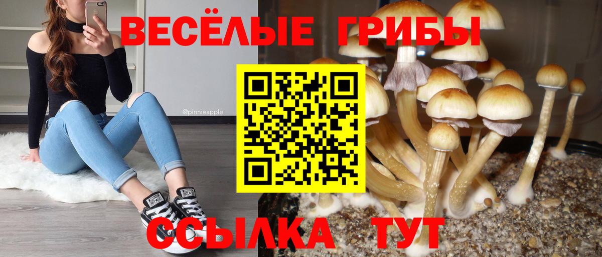 Ирбит  Псилоцибиновые грибы мухоморы  купить   Вход с VPN 